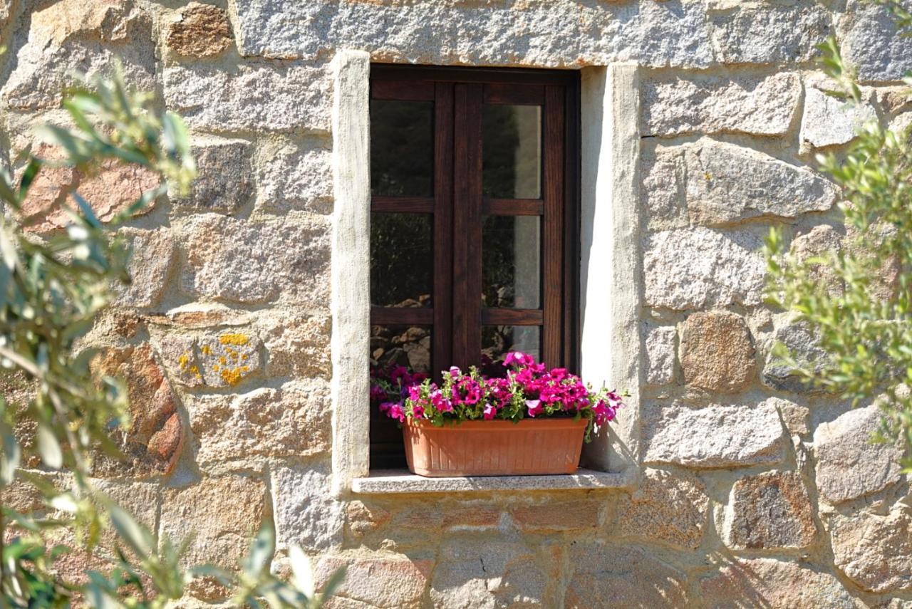 Stazzu Barecca Holiday home *
